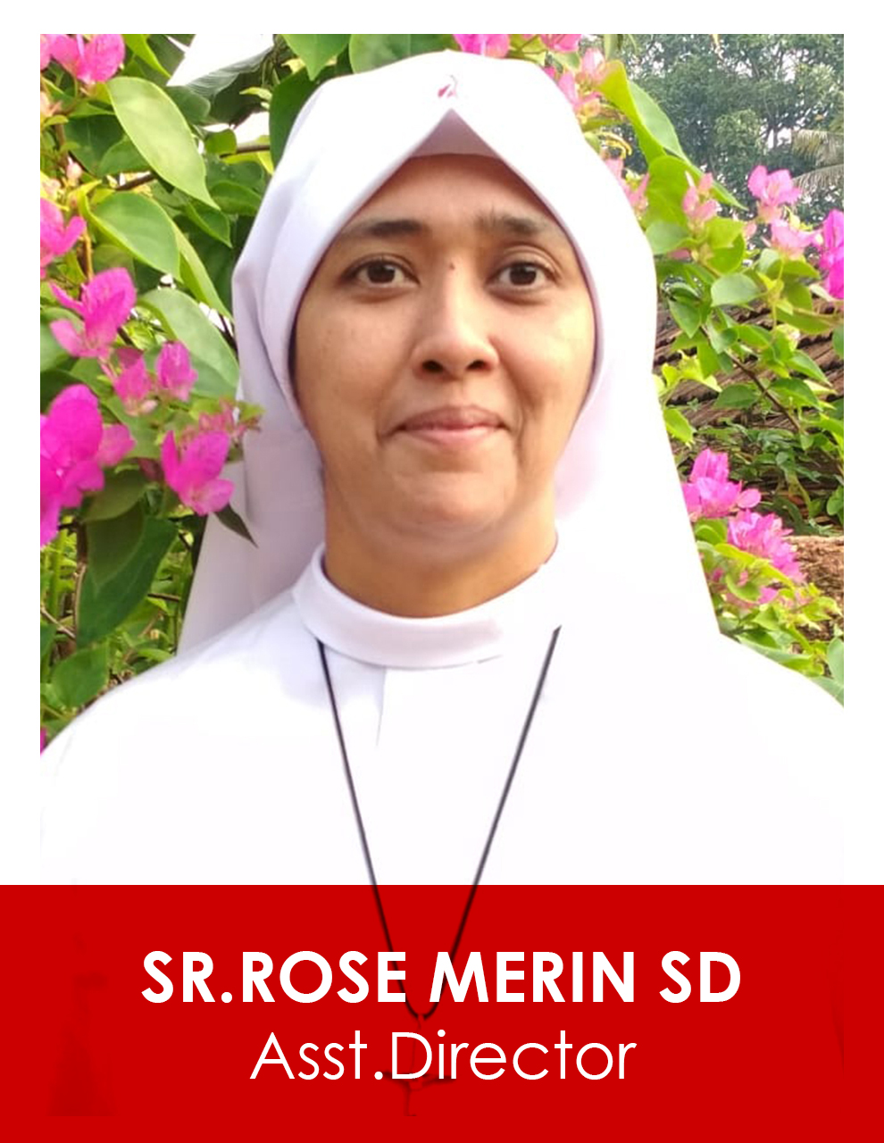 11_Rosemerin_